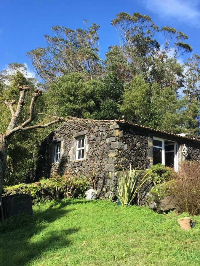 Pink House Azores 蓬塔德尔加达 外观 照片