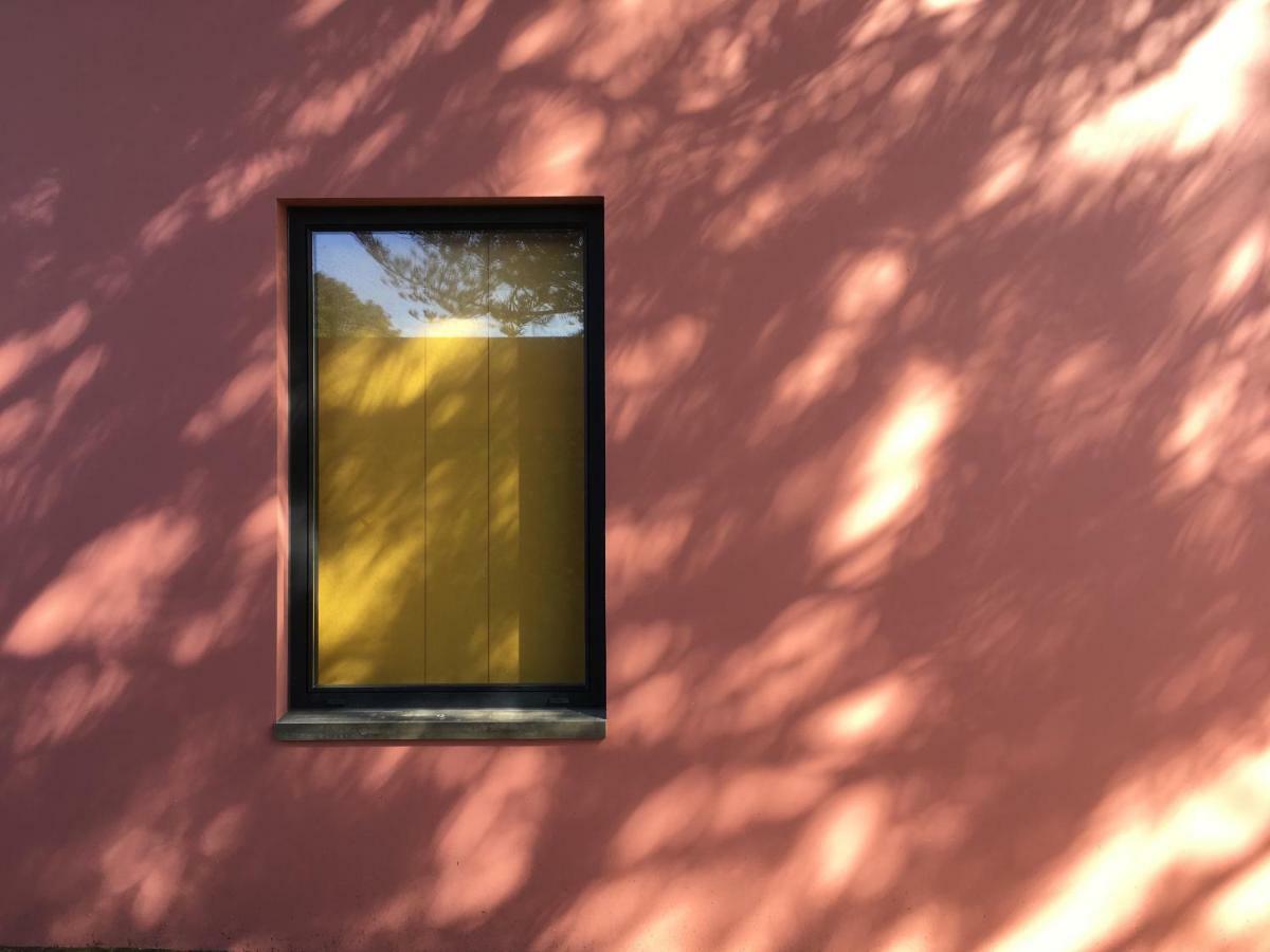 Pink House Azores 蓬塔德尔加达 外观 照片