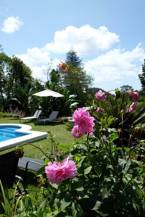 Pink House Azores 蓬塔德尔加达 外观 照片