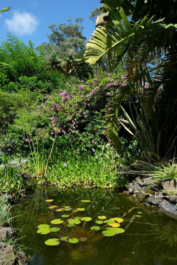 Pink House Azores 蓬塔德尔加达 外观 照片