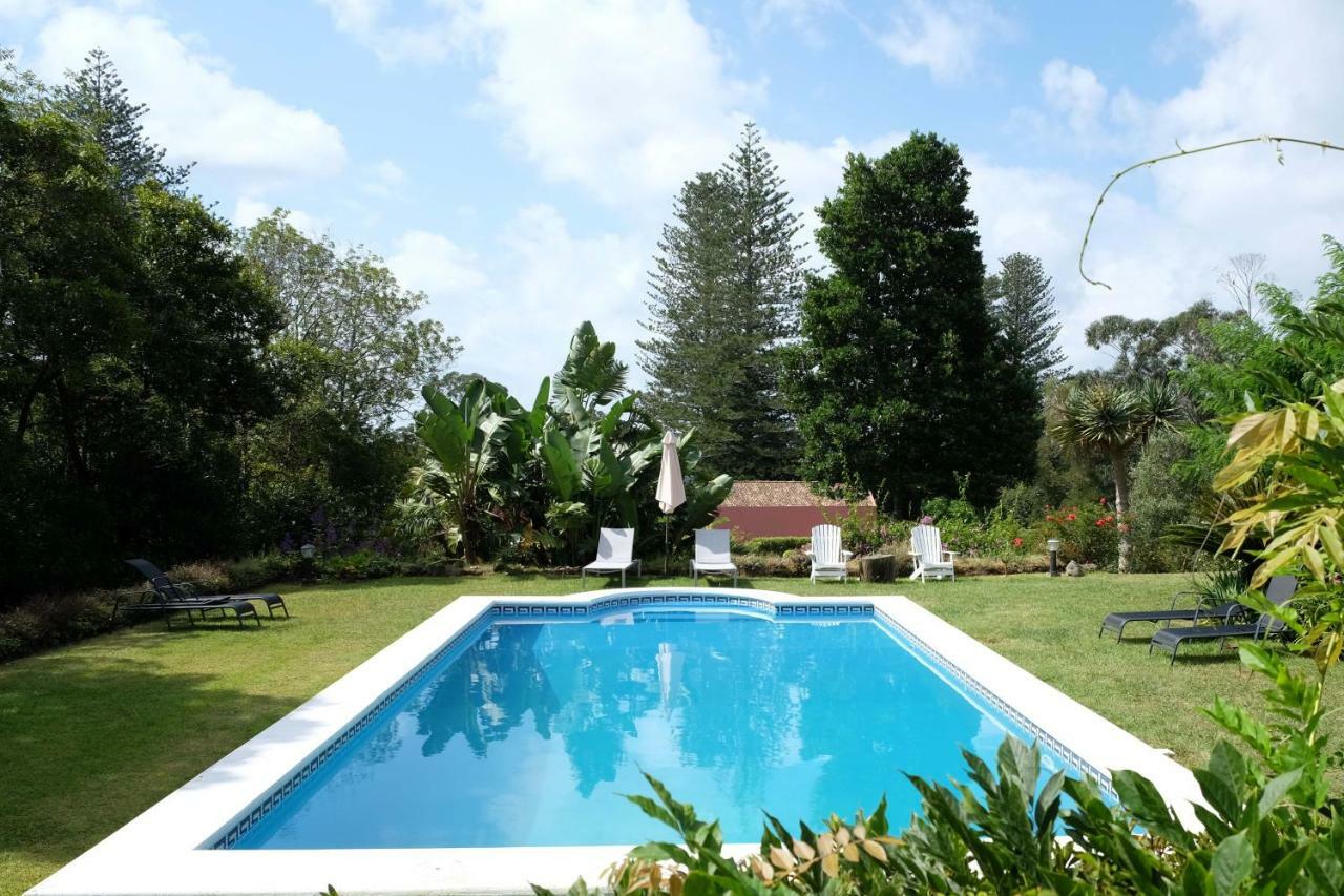 Pink House Azores 蓬塔德尔加达 外观 照片