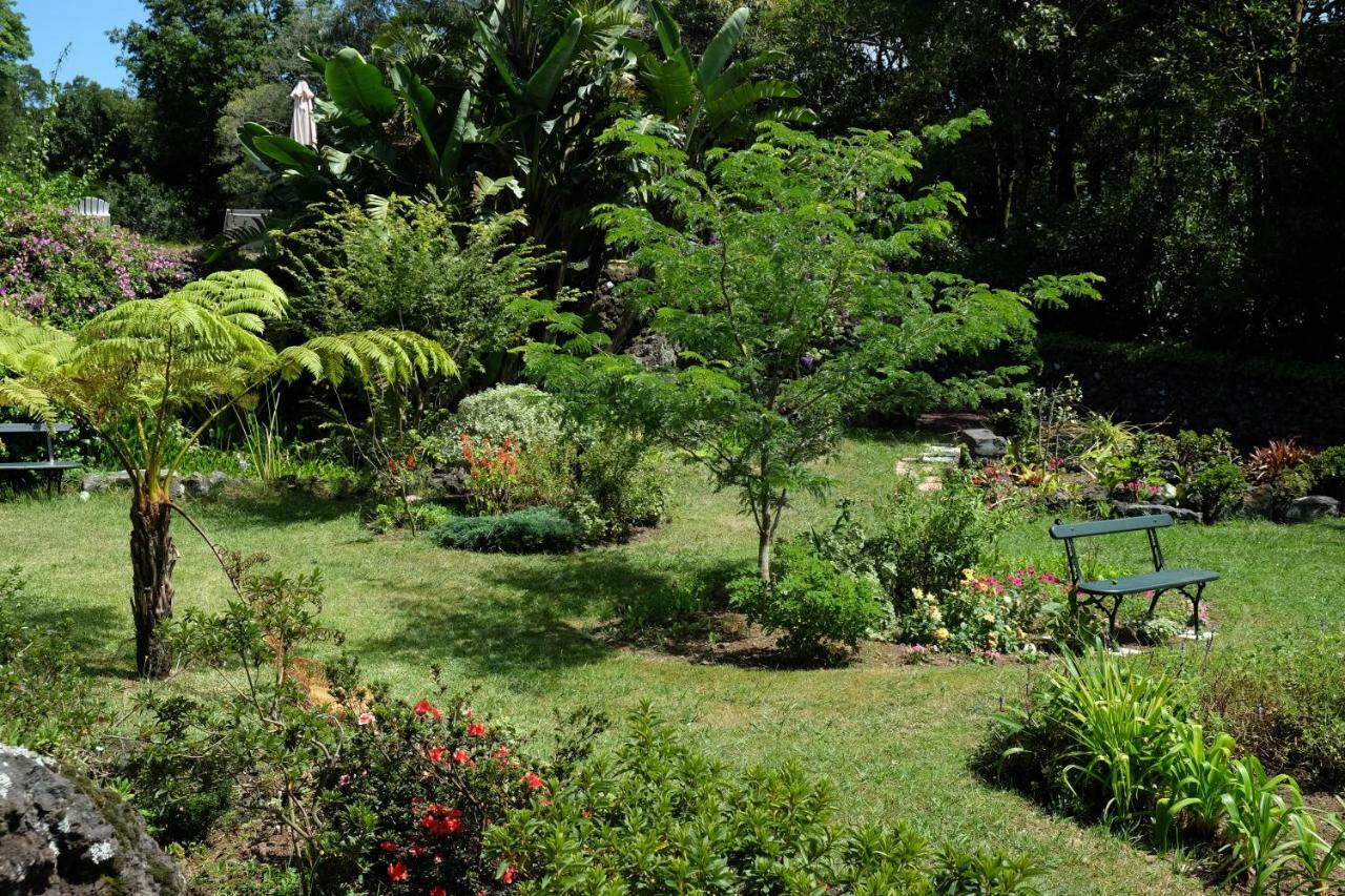 Pink House Azores 蓬塔德尔加达 外观 照片
